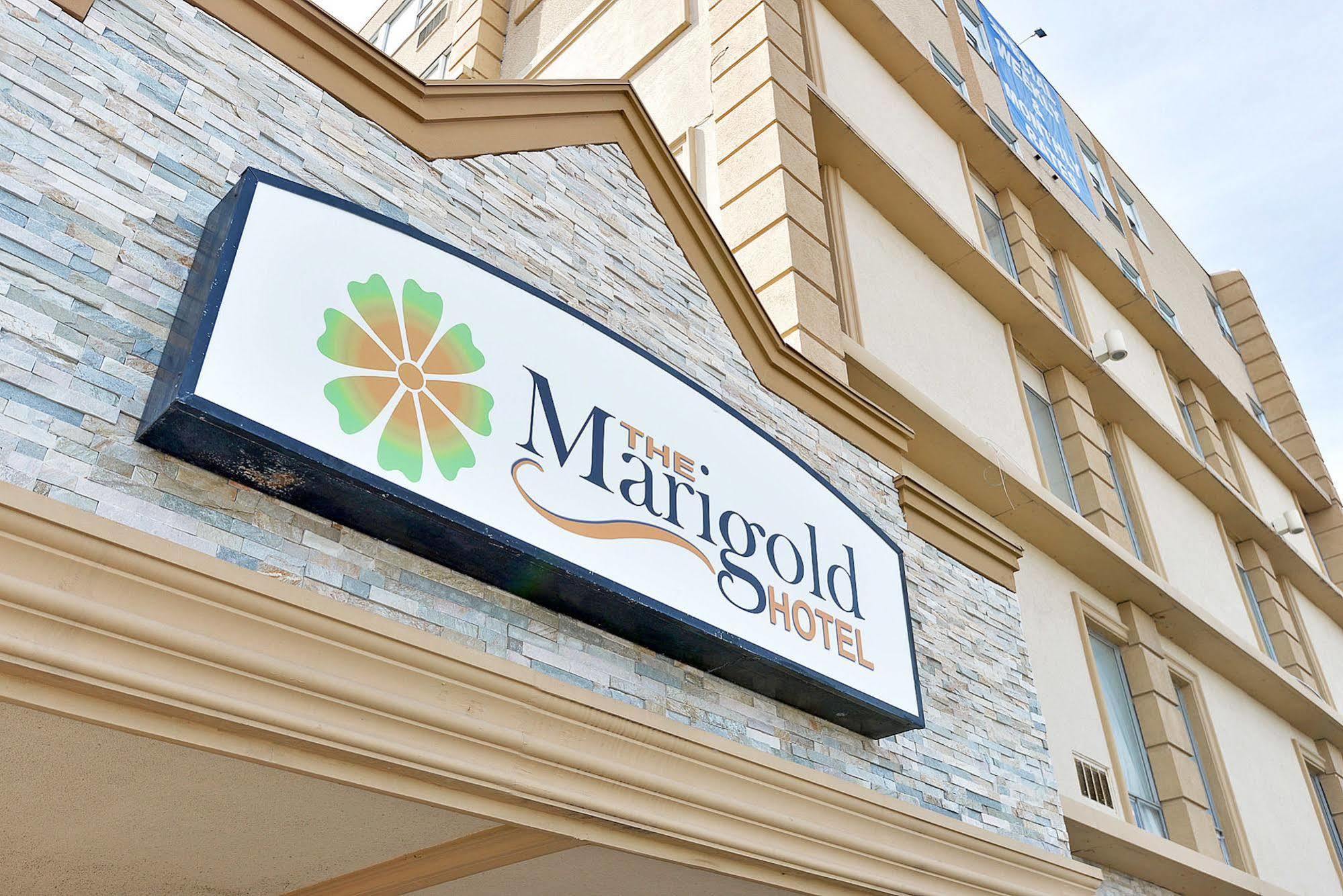 The Marigold Hotel Brampton Buitenkant foto