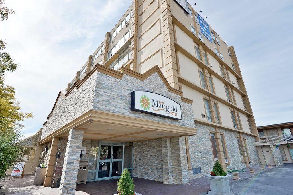 The Marigold Hotel Brampton Buitenkant foto